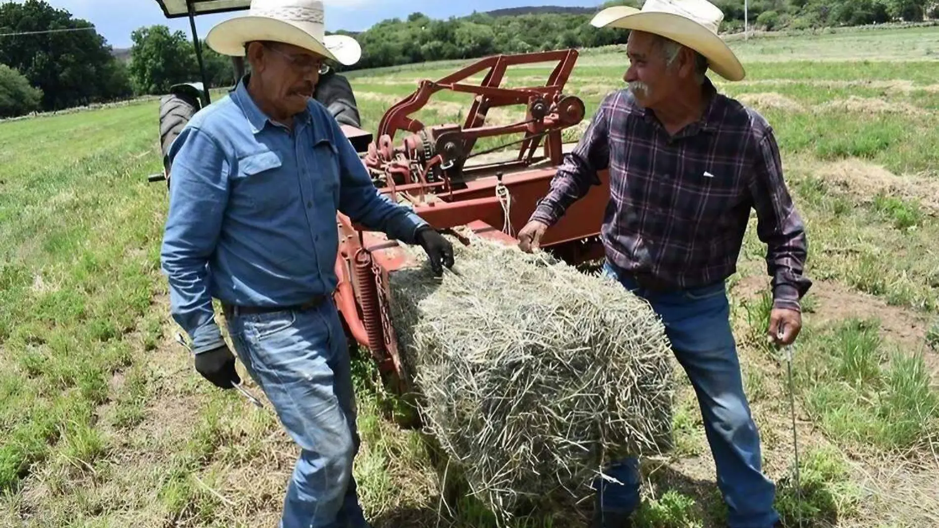 campo 1 nota de alejandra